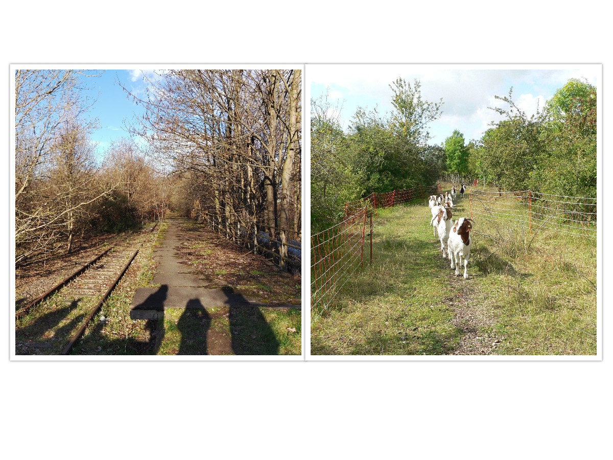 Projektbild InBaWB Projektbild InBaWB